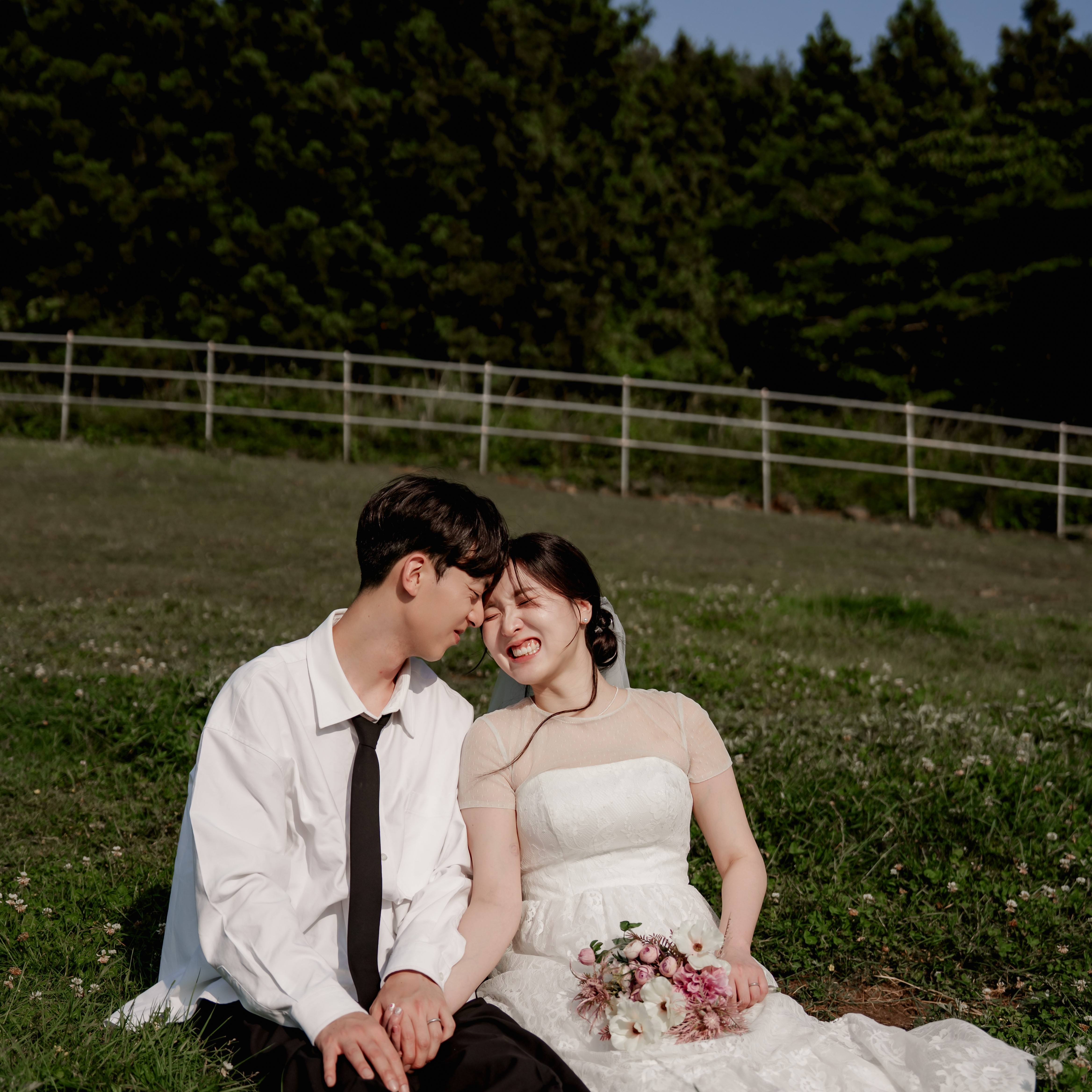 제주 들판 스냅