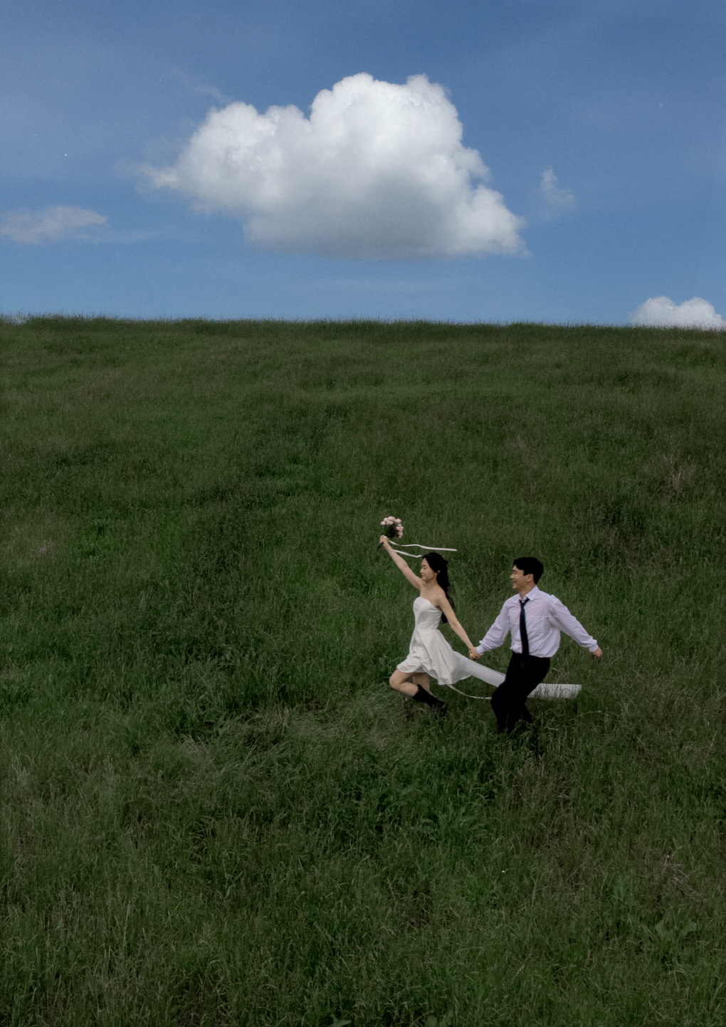 제주 스냅 들판